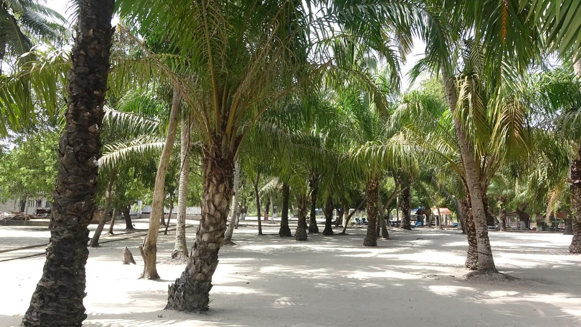 Paradise Island - Ouidah 外观 照片